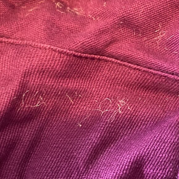 Old Navy Women's Pixie Pants Size 6 - Picture 6 of 6